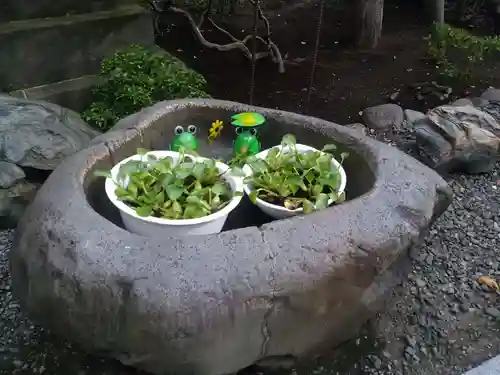 彌彦神社　(伊夜日子神社)の手水舎