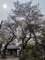 大蔵寺(埼玉県)