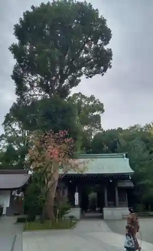 寒川神社(神奈川県)