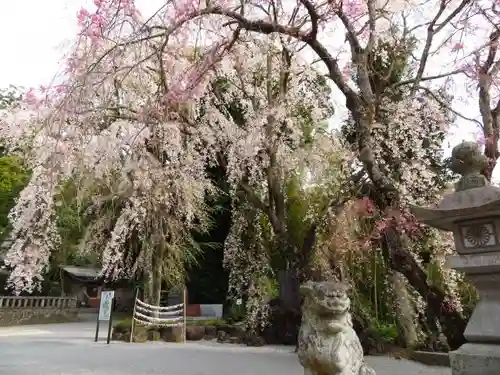 伊豆山神社の建物その他