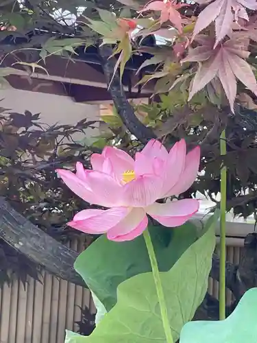 梅香寺(三重県)