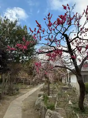石光寺(奈良県)