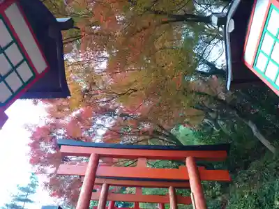 太皷谷稲成神社(島根県)