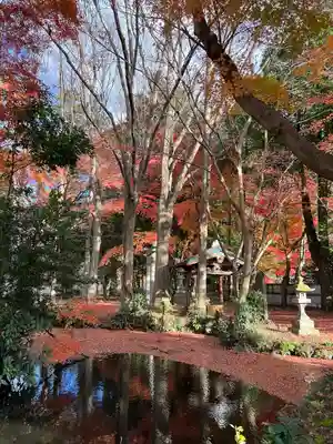 高岩神社の自然