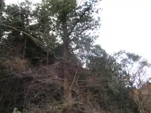 高原社(東京都)