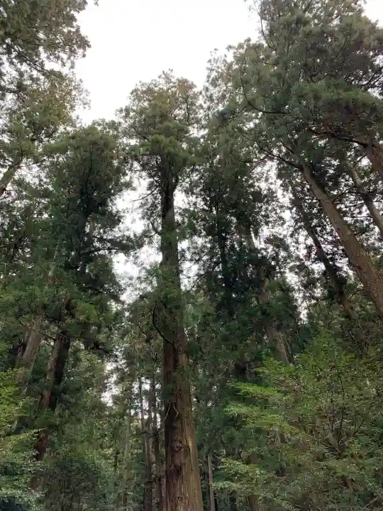 室生龍穴神社の自然