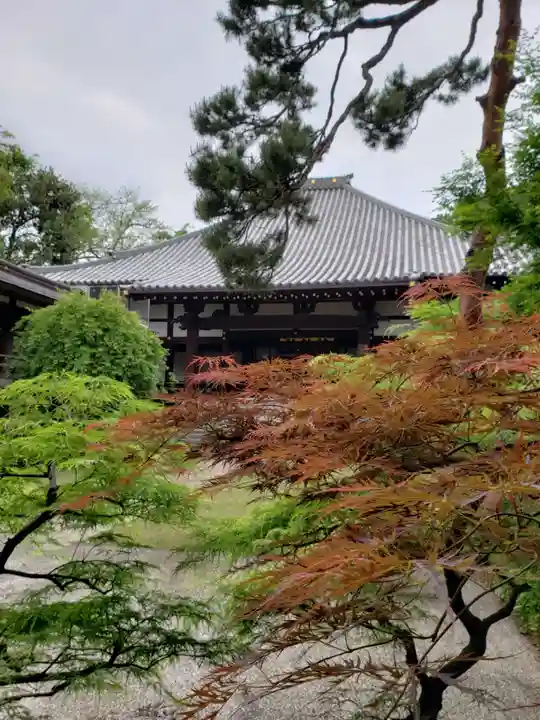 妙法寺(東京都)