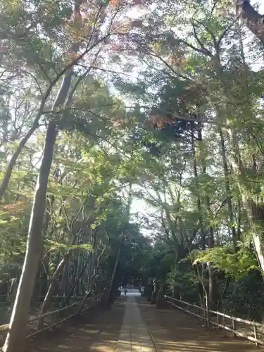 喜多見氷川神社の自然