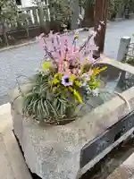 柏神社(千葉県)