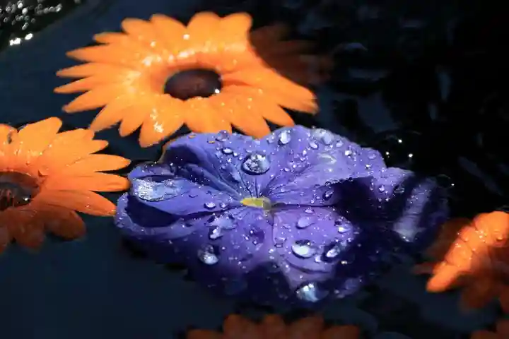 大鏑神社の手水舎