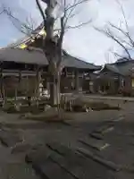 善徳寺(栃木県)