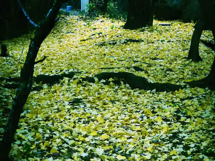 石切劔箭神社上之社の自然