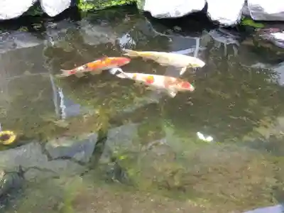 富永神社(愛知県)