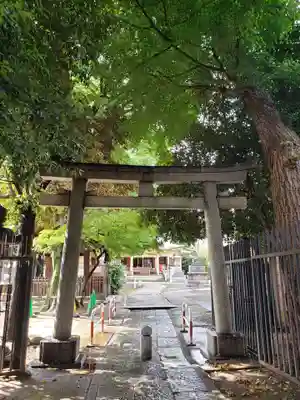 荻窪白山神社の鳥居
