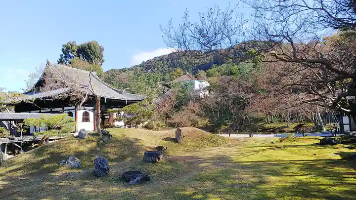 高台寺(高台寿聖禅寺・高臺寺)の庭園