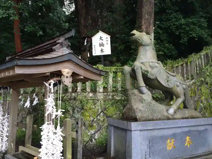 八幡朝見神社(大分県)