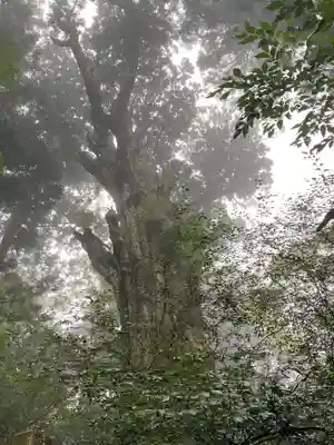 玉置神社(奈良県)