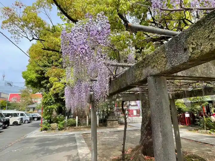 徳持神社の自然