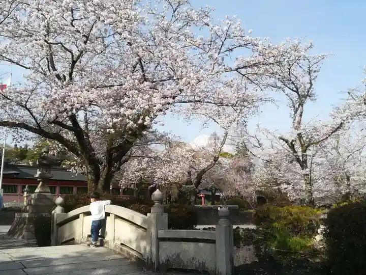 富士山本宮浅間大社の御朱印