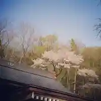 壽徳寺 じゅとくじのその他建物