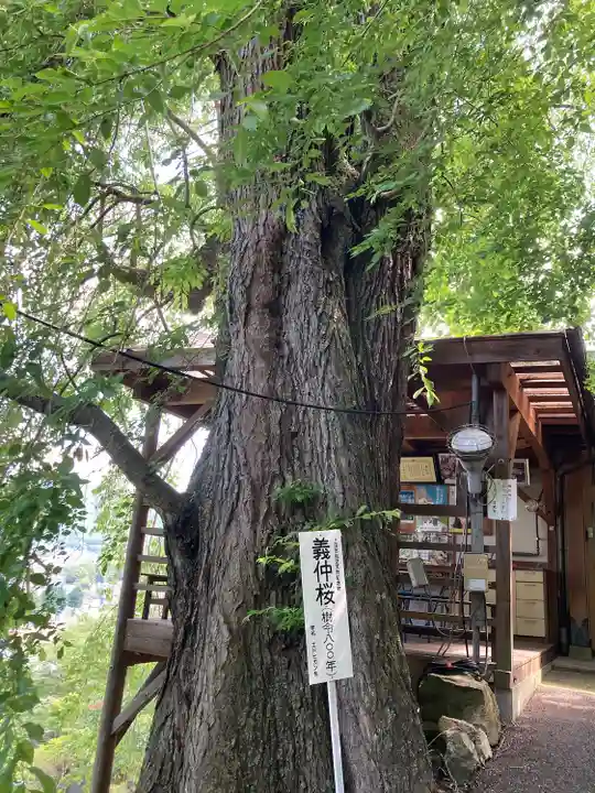 寳蔵寺(長野県)