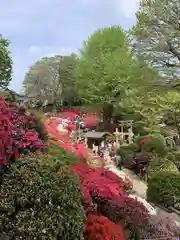 根津神社の庭園