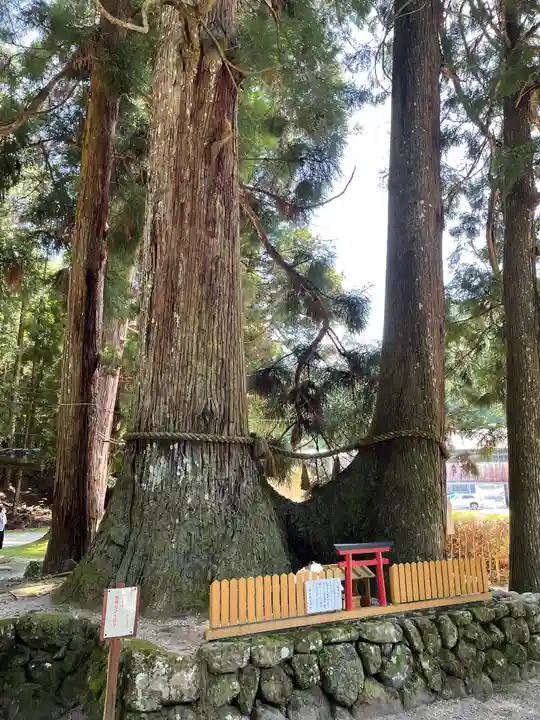 室生龍穴神社(奈良県)