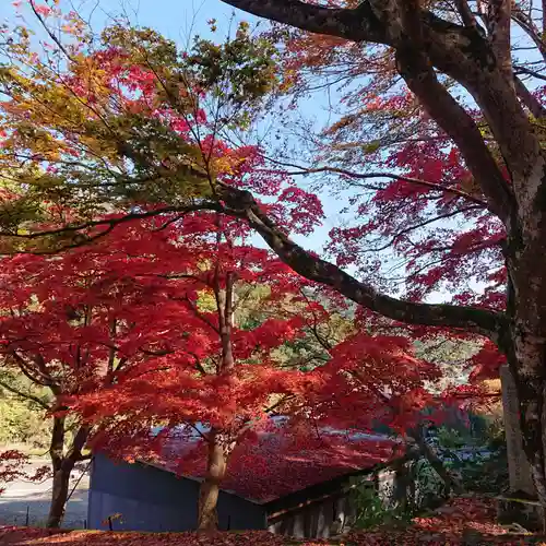 地蔵寺(大阪府)