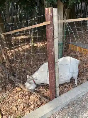 出雲大社相模分祠(神奈川県)