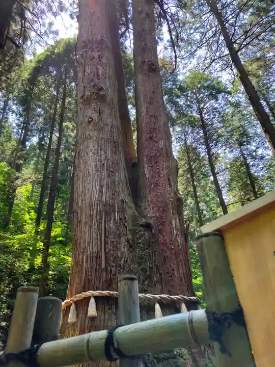 御岩神社(茨城県)