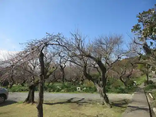 宝金剛寺の自然