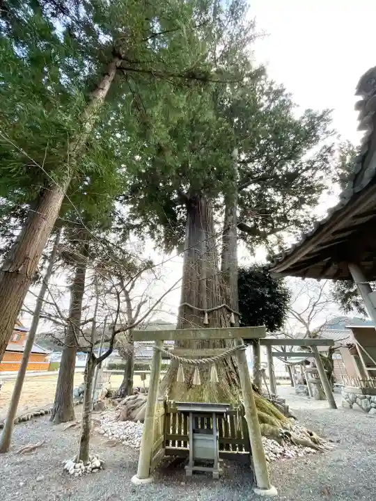 津田神社(三重県)