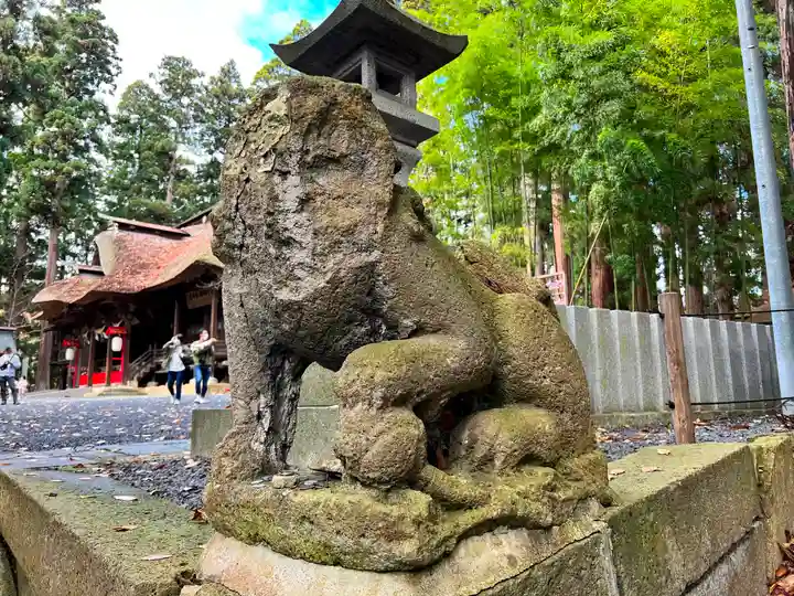 熊野大社の狛犬
