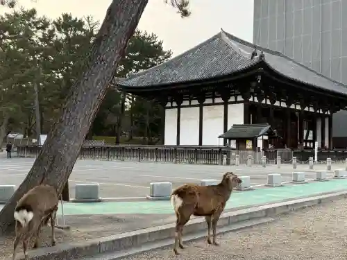 興福寺(奈良県)