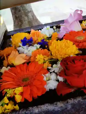 鳩森八幡神社(東京都)