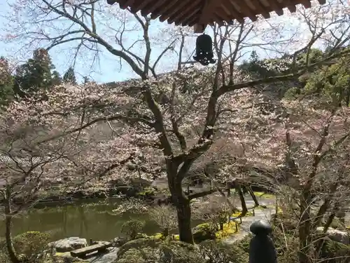 醍醐寺（上醍醐）の自然