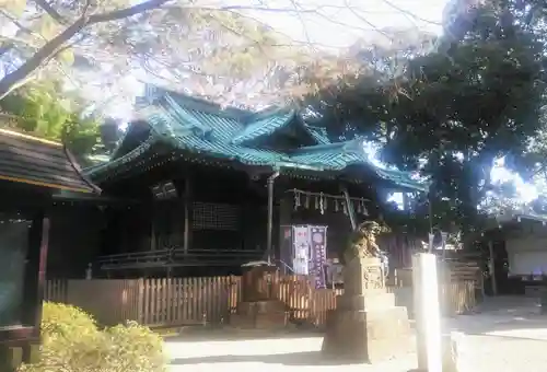 代々木八幡宮の本殿・本堂