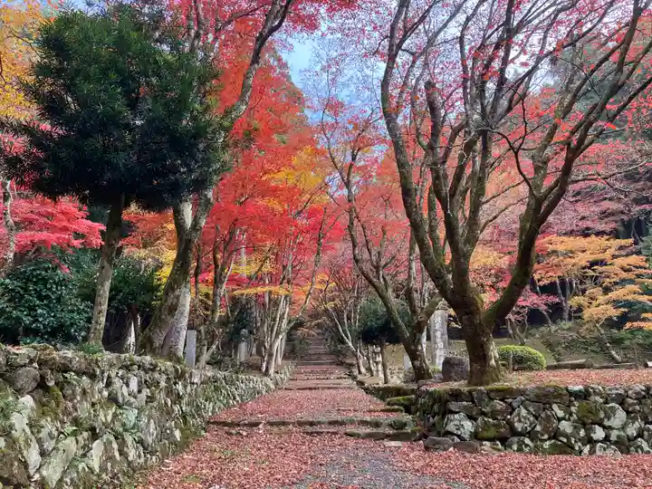 鶏足寺(滋賀県)