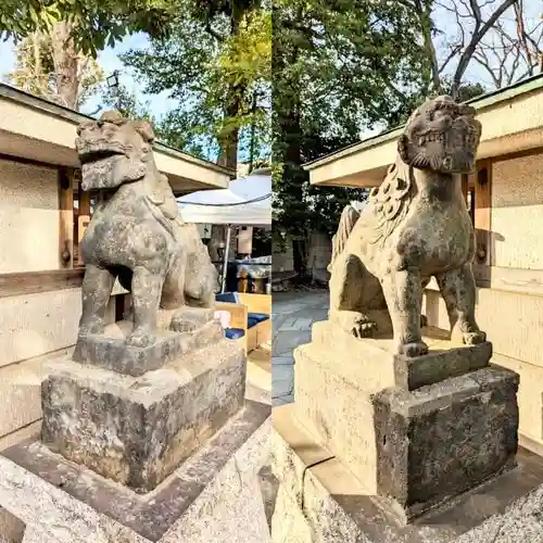 戸越八幡神社の狛犬