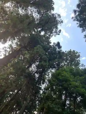大宮温泉神社(栃木県)