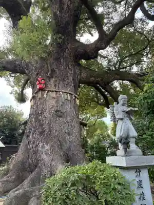 法楽寺(大阪府)