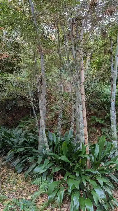浄住寺(京都府)