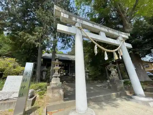 辛科神社(群馬県)