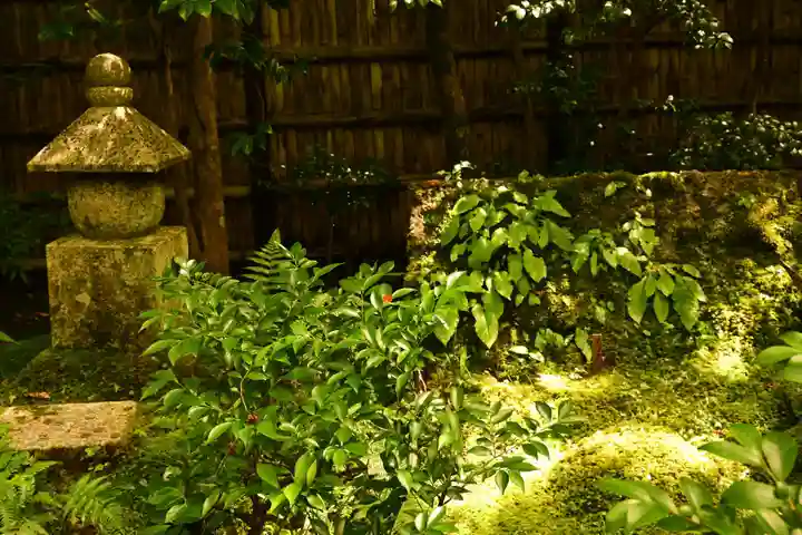 祇王寺(京都府)