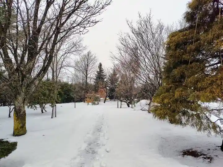 美瑛神社(北海道)