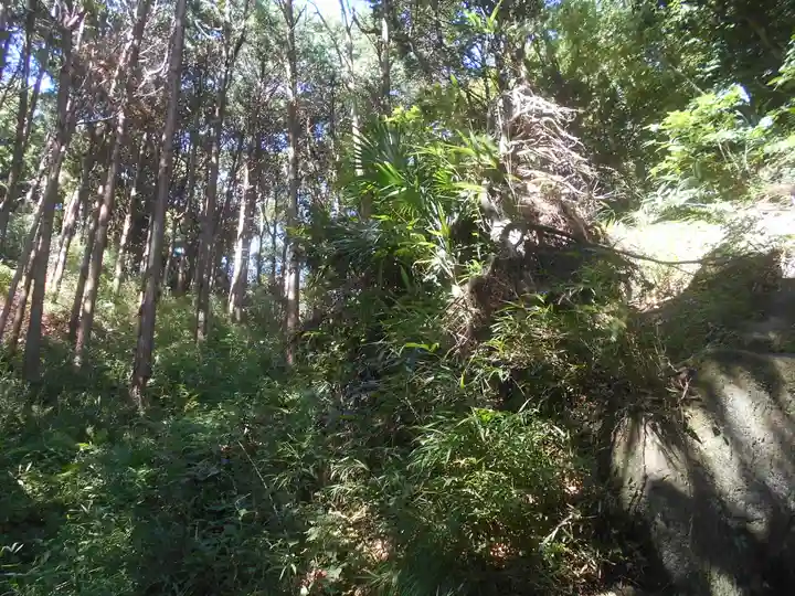 梶原御霊神社の自然