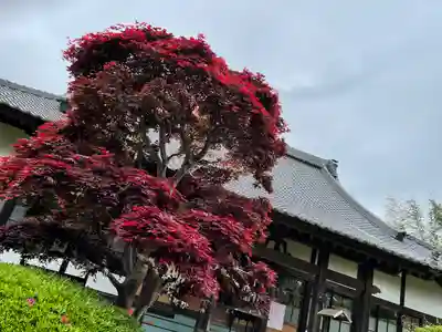 国分寺(千葉県)