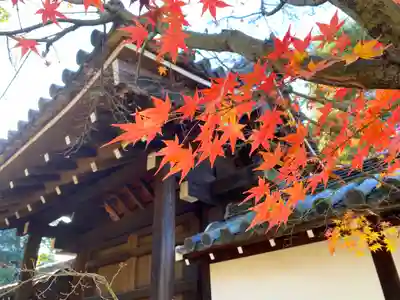 東福禅寺(東福寺)の山門・神門