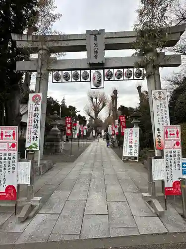 亀ケ池八幡宮(神奈川県)