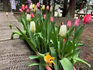 大宮温泉神社(栃木県)(2022年04月25日(月) 10時10分58秒投稿)